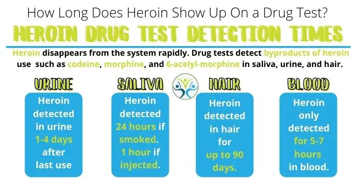 how long does heroin show up in urine
