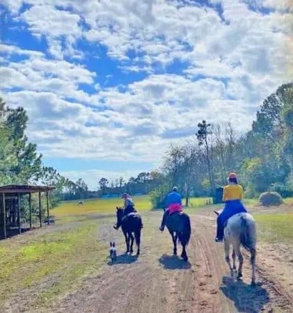 3 horseback riders on a dirt path.