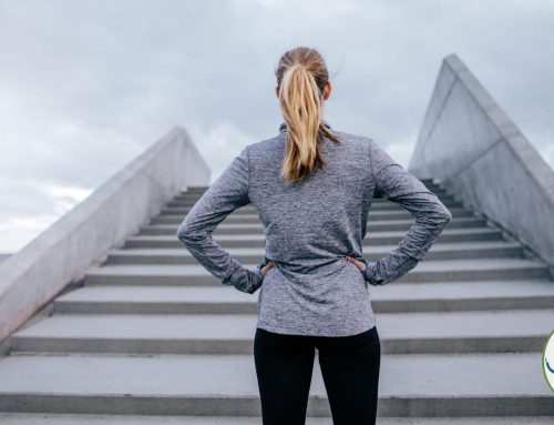 What are the 12 Steps to Recovery?
