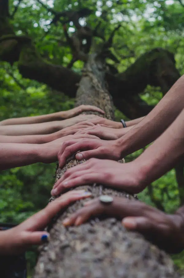 Many hands all touching a tree trunk.