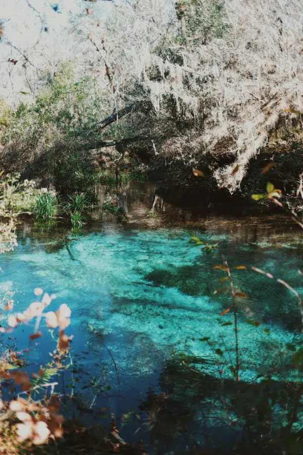 natural springs with clear blue waters and rocky edge.
