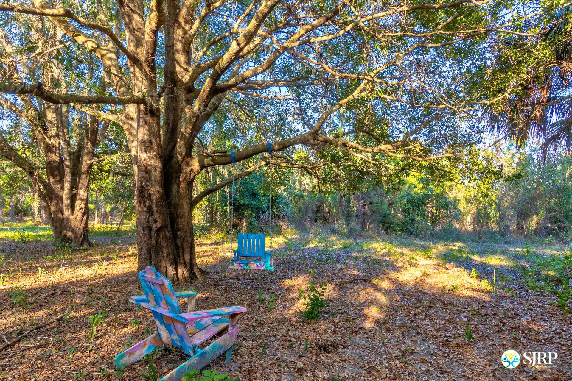 Open are in the middle of the woods with a large tree with a colorful hanging wood tree swing and a colorful adirondack chair.