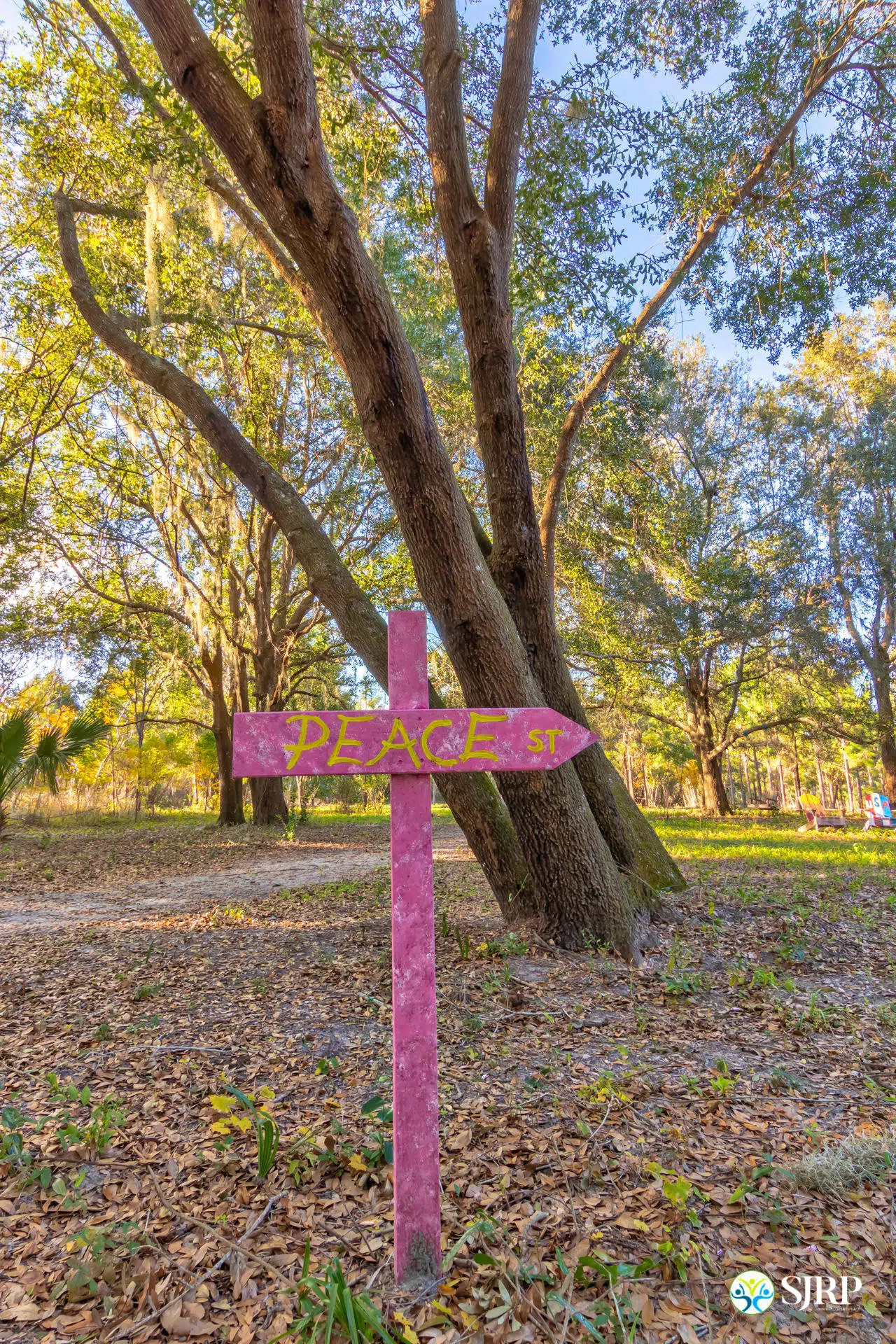 Wood area with a pink stake and sign reading "Peace St."