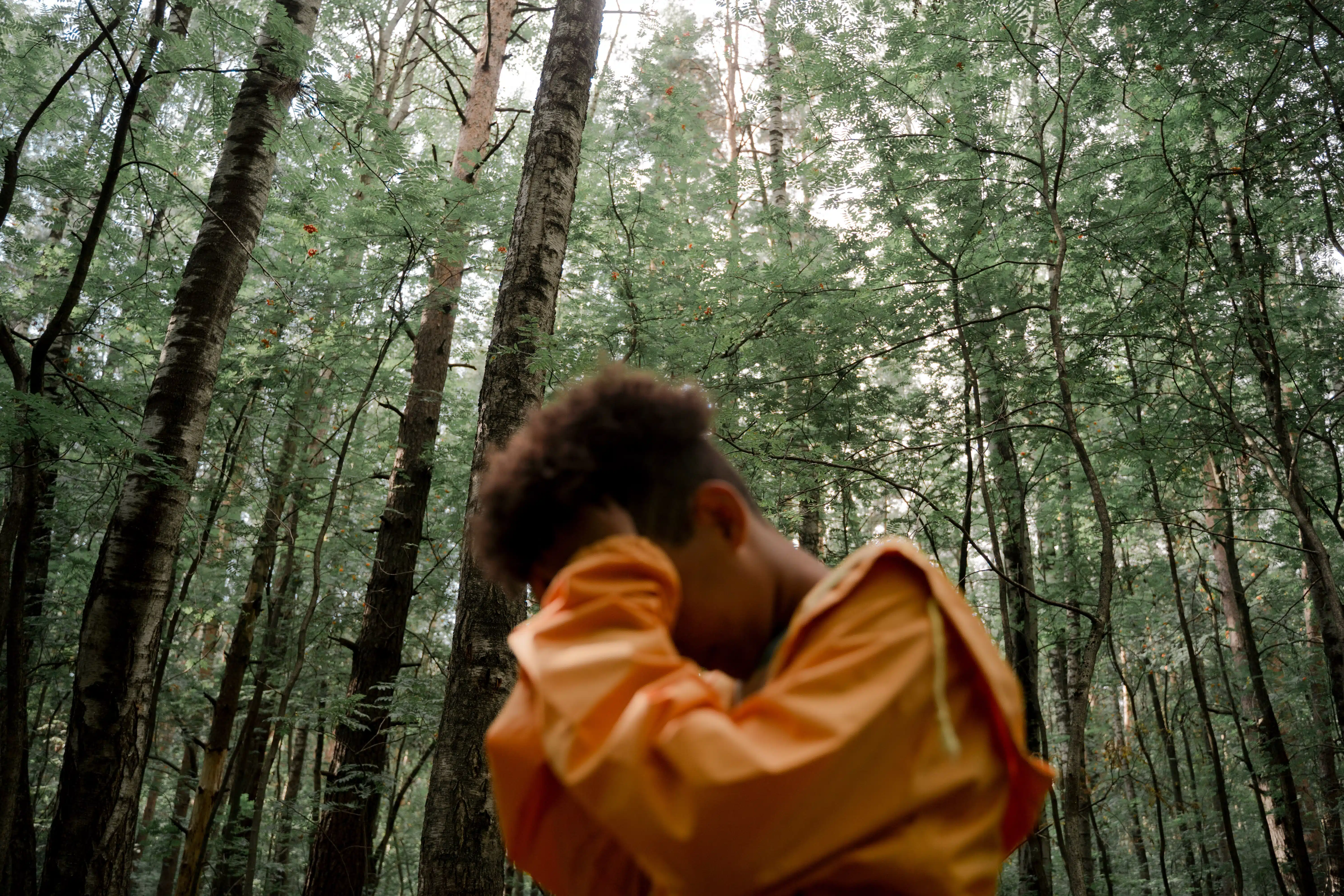 person sitting in the middle of a forest of tall trees with their head in their hands.